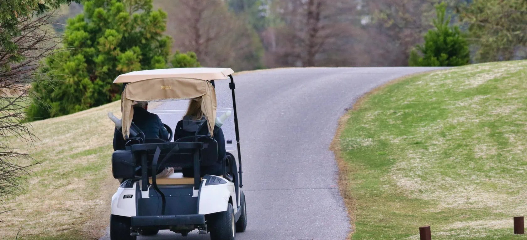Golf Carts